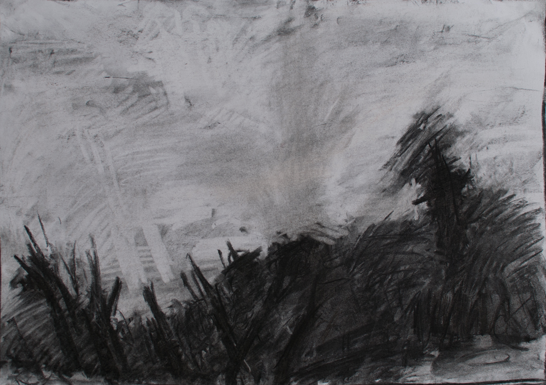 Self-Portrait